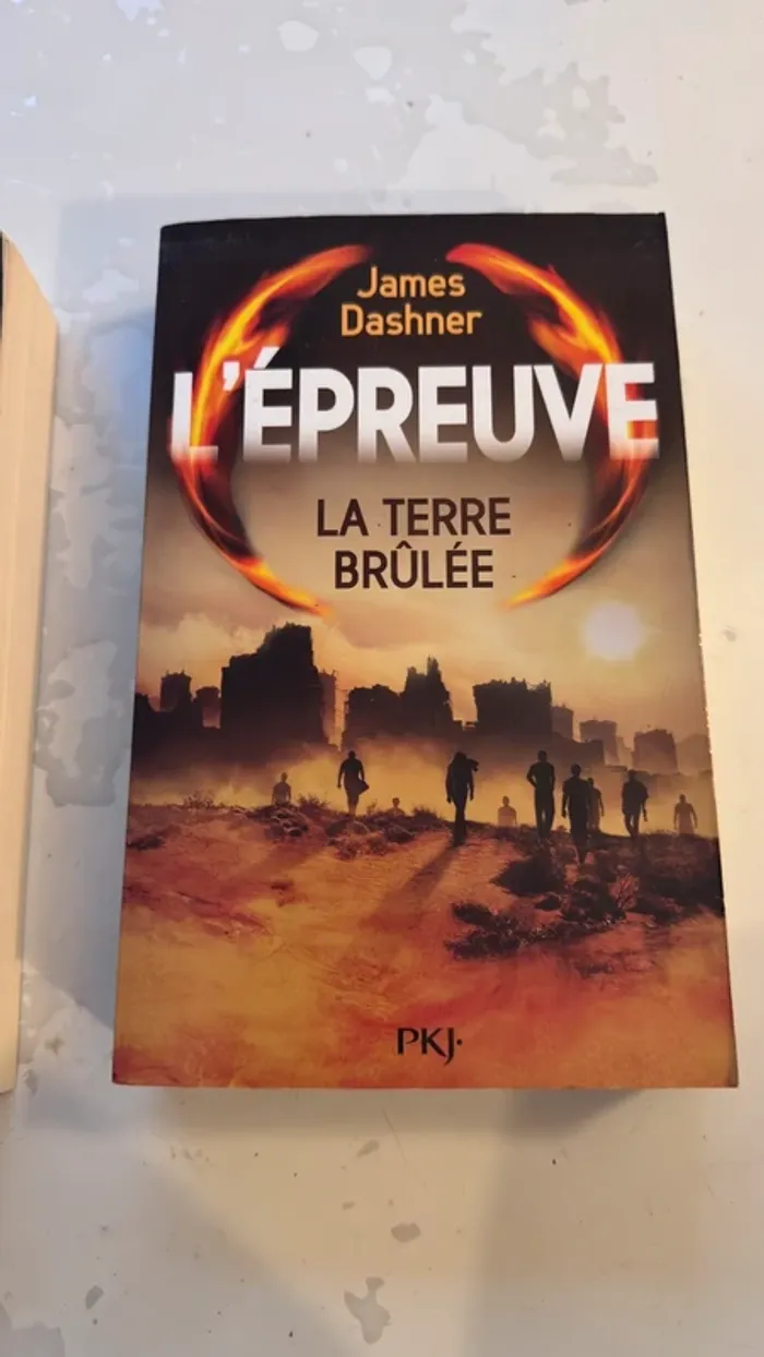 📚 Lot 2 livres – L’Épreuve de James Dashner Tome 1 : Le Labyrinthe Tome 2 : La Terre Brûlée - photo numéro 6