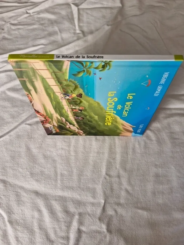 Le volcan de la soufrière - photo numéro 3