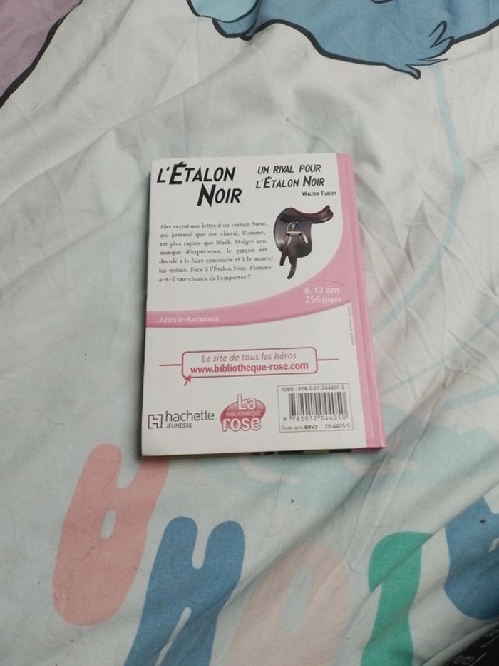 Un rival pour l'étalon noir - photo numéro 2