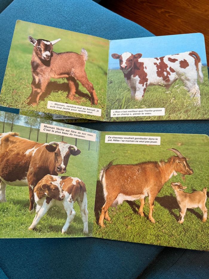 Lot de 2 livres anciens carton cartonnés Dans le pré + Bébés animaux campagne bouton d’or - photo numéro 5
