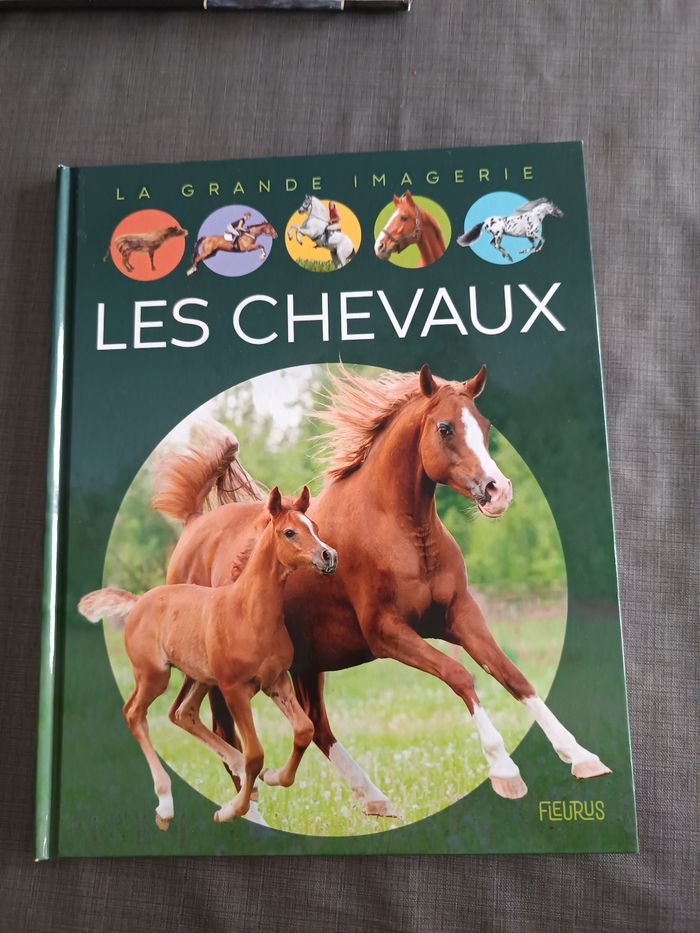 Livre sur les chevaux