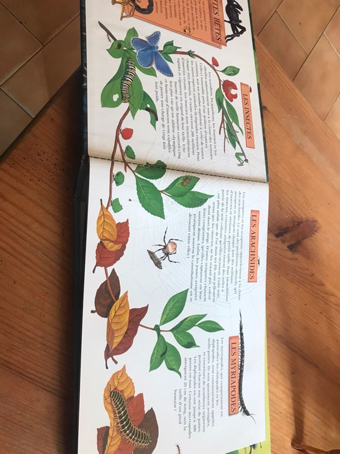 Livre « les insectes » en 3 D - photo numéro 2