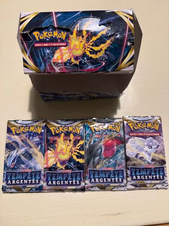 Art set tempête argentée