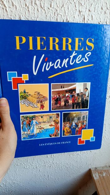 Livre Catéchisme 🔸 Pierres vivantes