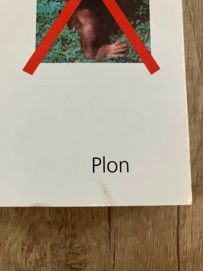 Préhistoire du piéton Yvette deloisson - Plon - photo numéro 2