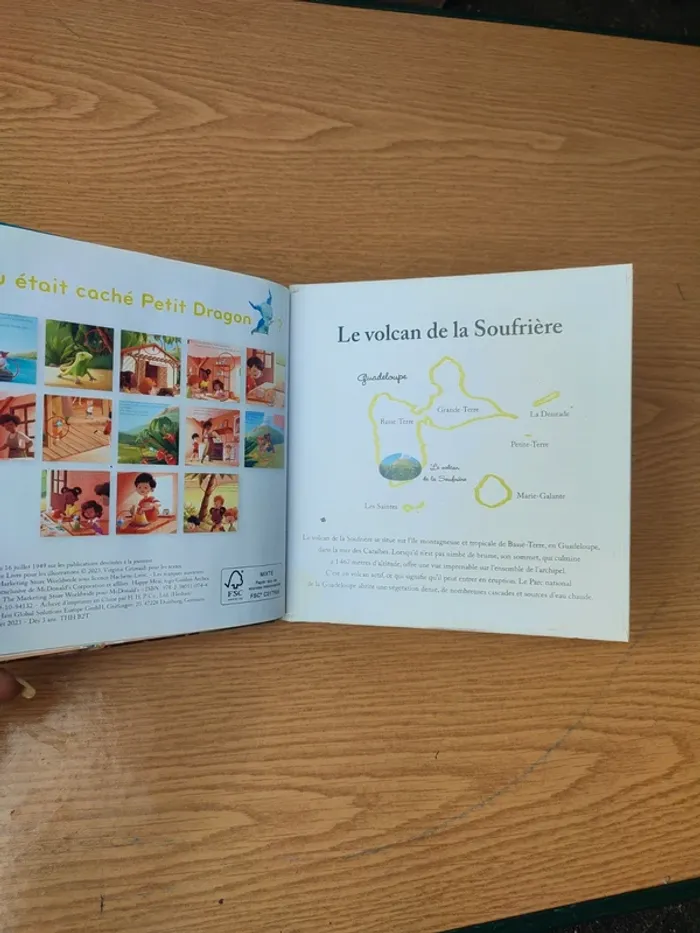 Livre le volcan de la Soufrière - photo numéro 20