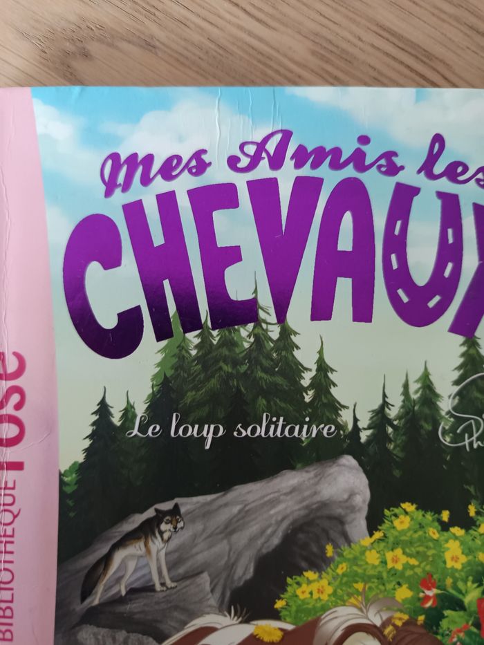 Livre Mes amis les chevaux - photo numéro 8