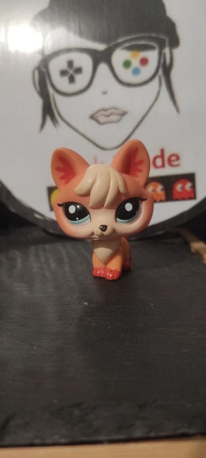My Littlest Petshop Pet Shop LPS renard fox 1812 Authentic Orange Blanck Noir - photo numéro 2