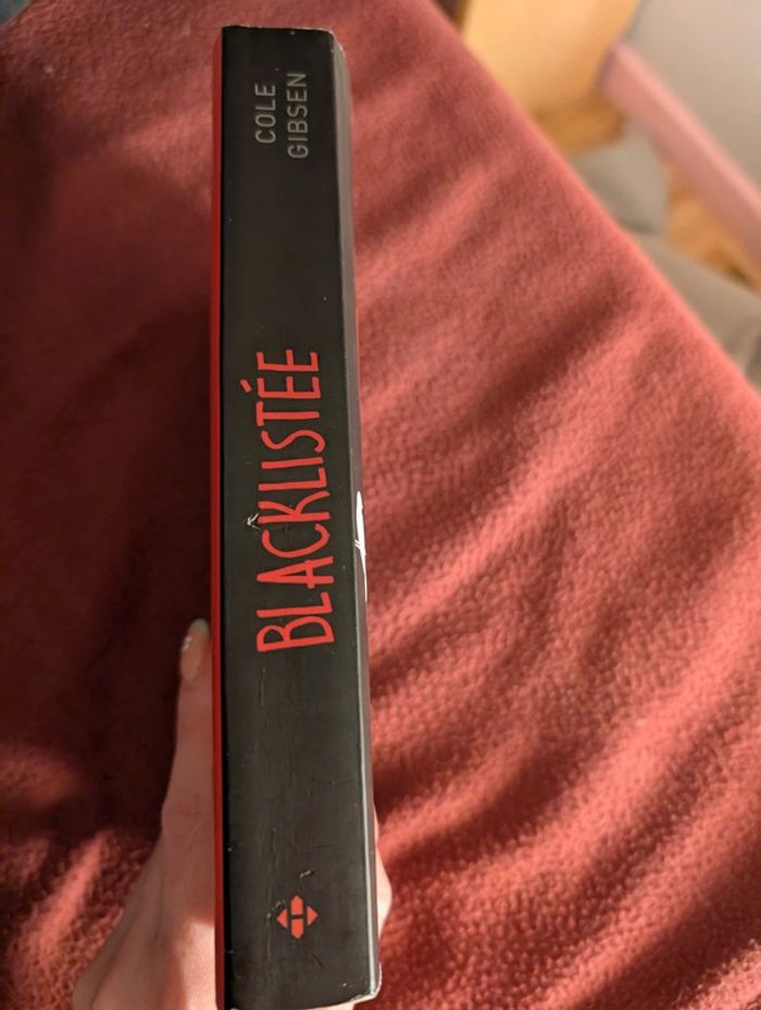 Blacklistée - photo numéro 3
