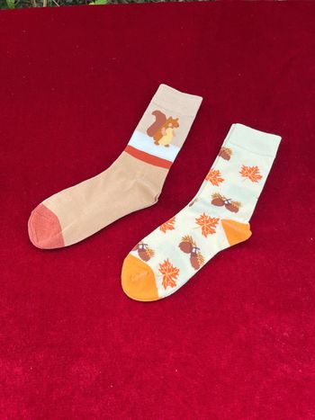 Chaussettes “Écureuil & Feuilles d’Automne” duo cosy et ludique