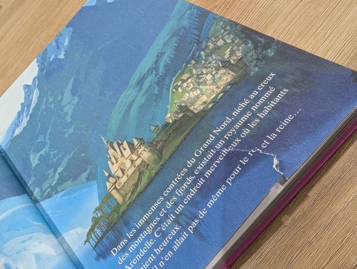 Livre la reine des neiges - photo numéro 3