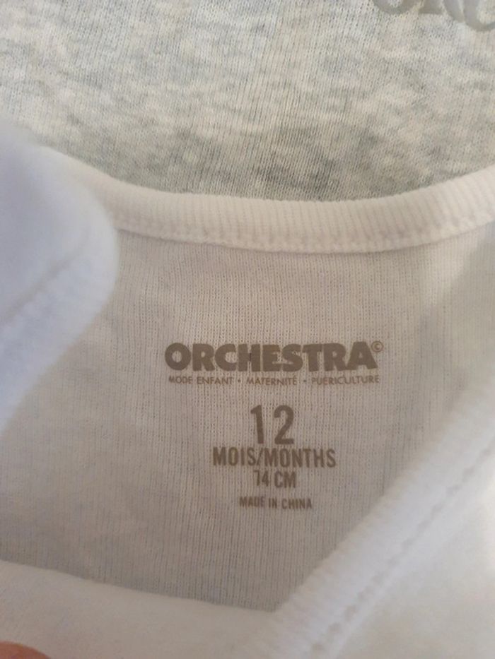 Bodies orchestra - photo numéro 2