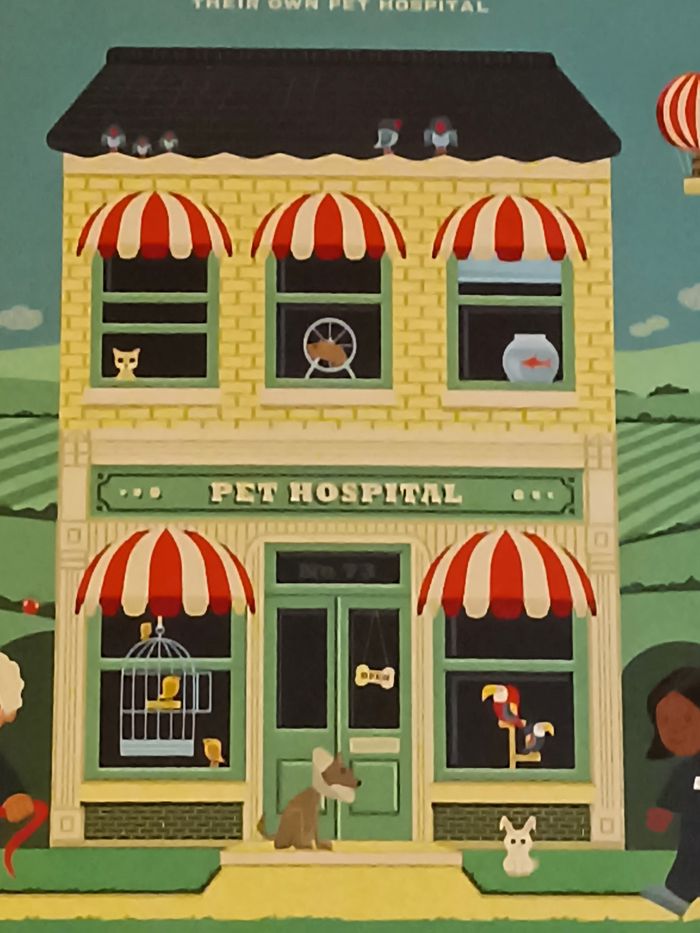 Hôpital animaux à fabriquer - photo numéro 6