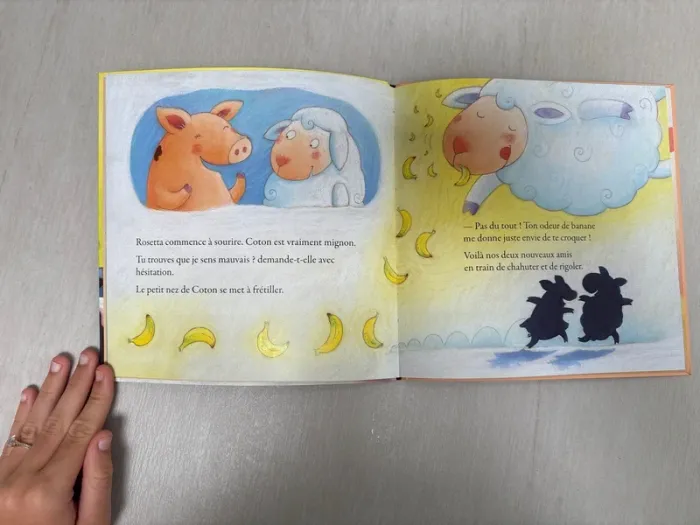 < Offre de prix Rosetta Banana n'est pas cracra ! - photo numéro 4