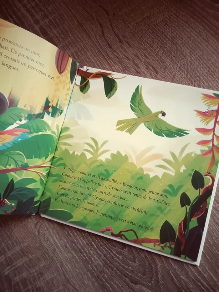 Livre : Le Perroquet qui ne pipait mot - photo numéro 2