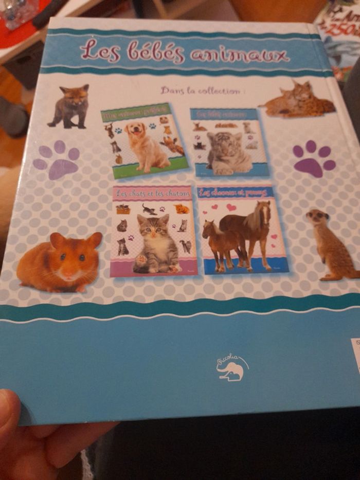 Les bébés animaux - photo numéro 2