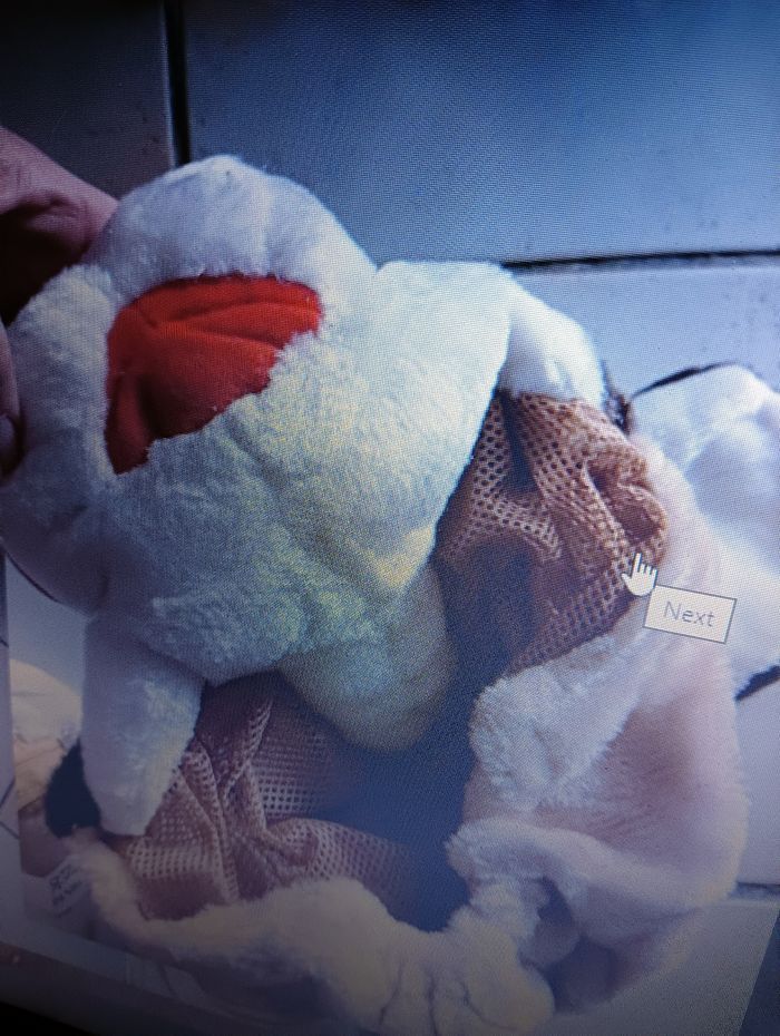 Déguisement CHIEN taille 3 / 4 ans - photo numéro 6