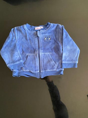 Veste 9 mois