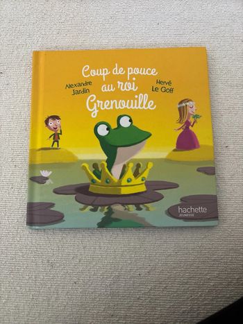 Livre de Alexandre jardin et Hervé Le Goff