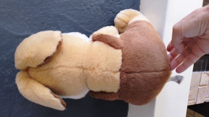 peluches - photo numéro 6