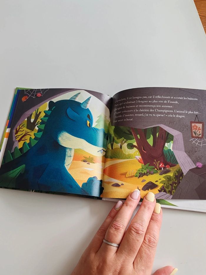 Livre Merveilles de France - photo numéro 4