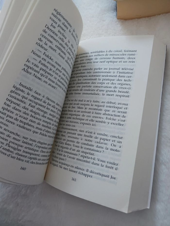 Livre Quand La Neige Danse de Sonja Delzongle - photo numéro 5
