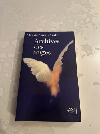 Livre archives des anges - Alix de saint-andré