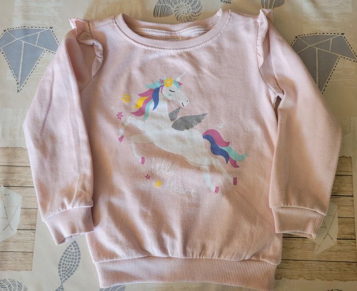 Pull licorne