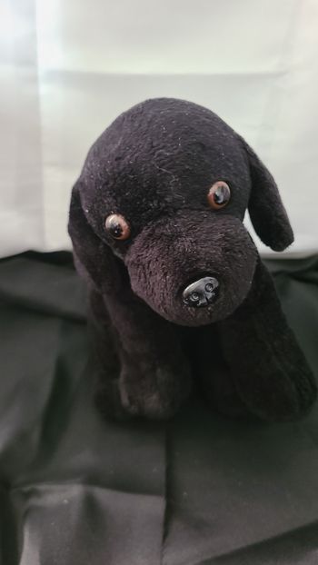 Peluche labrador noir chien LASCAR bandana les chiens guides d'aveugles