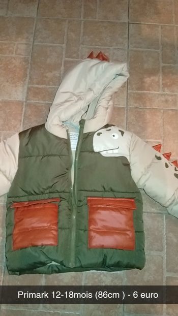 Manteaux doudounes dinosaures 