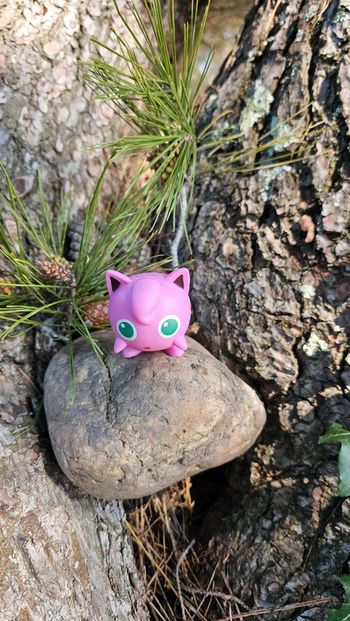 Super figurine Pokemon rondoudou