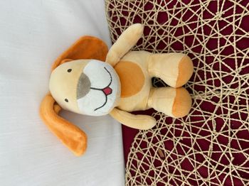 Doudou lapin chien orange SUCRE D'ORGE