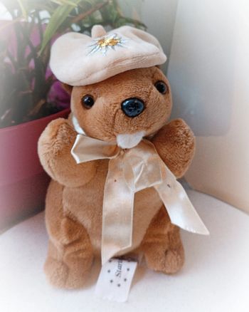 Startoy peluche doudou plush nounours Teddy marmotte Berret chapeau suisse edelweiss fleur flower