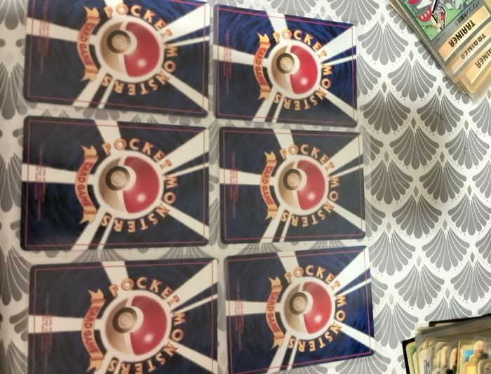 evolition - photo numéro 2