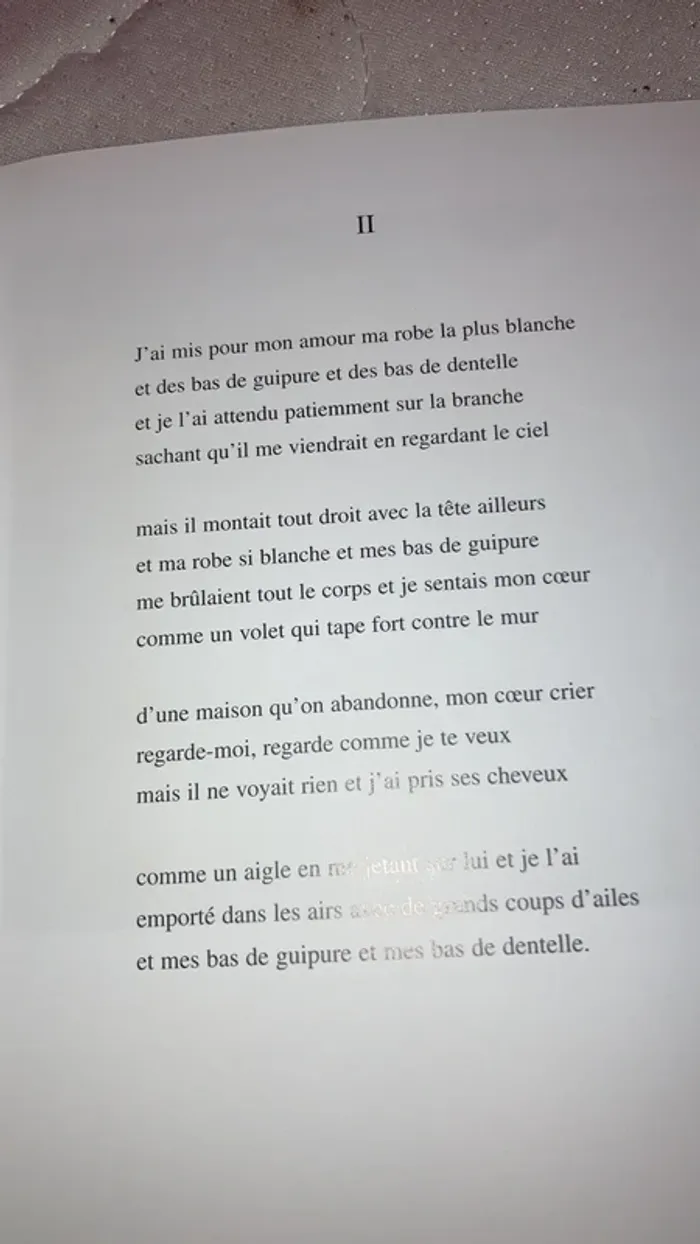 Peintures - photo numéro 2