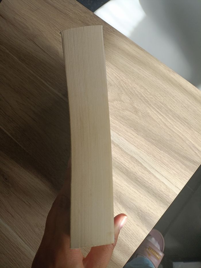 Livre " Un pacte avec le roi elfe" - photo numéro 5
