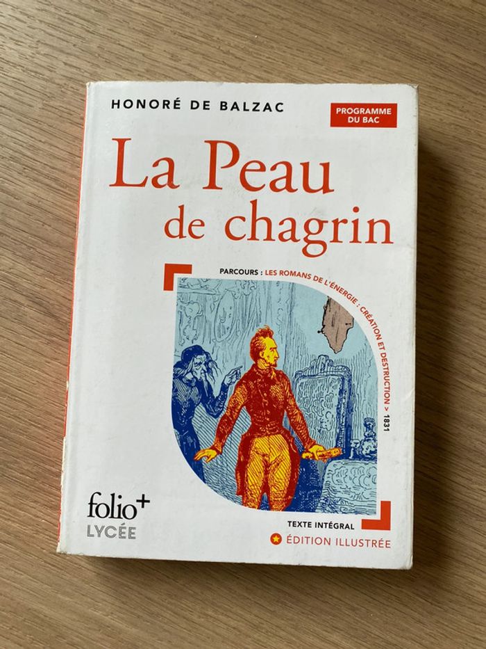 Roman la peau de chagrin