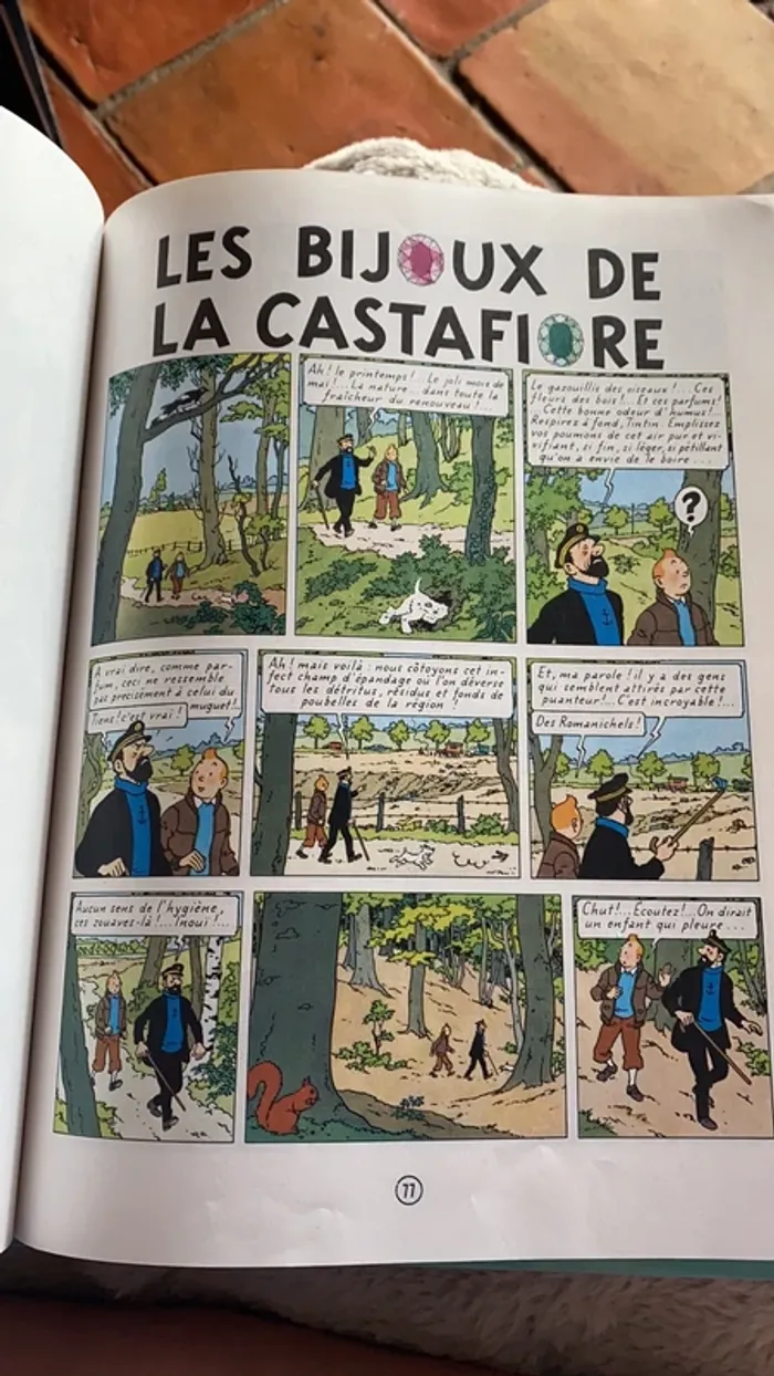 Album double - Tintin au Tibet et Les Bijoux de la Castafiore - photo numéro 6