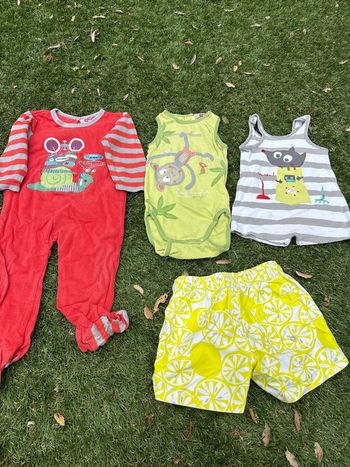 Lot de 4 vêtements Du Pareil au Même en 12 mois