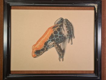 Affiche Rétro Grenouille Format A4