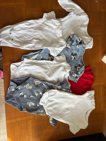 Lot bodies    Lot 13