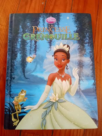 Livre la princesse et la grenouille disney princesse Hachette