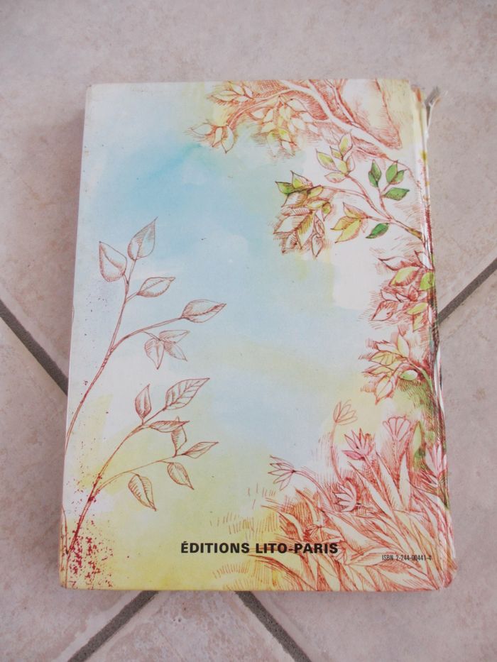 Livre enfant Les petites filles modèles – Comtesse de Ségur - photo numéro 2