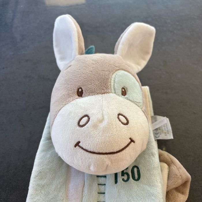 Toise Nattou Tim le Cheval - photo numéro 2