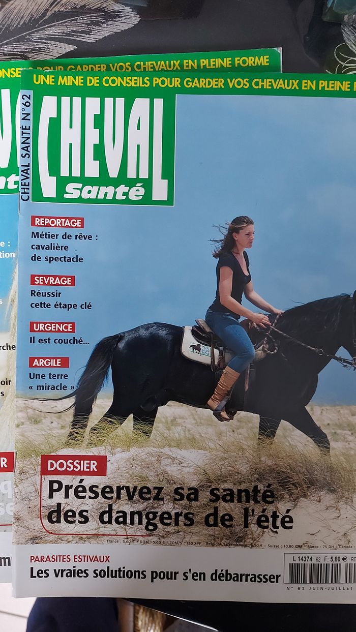 Lot Cheval santé - photo numéro 5