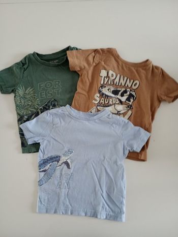 Lot de 3 tee-shirts vertbaudet