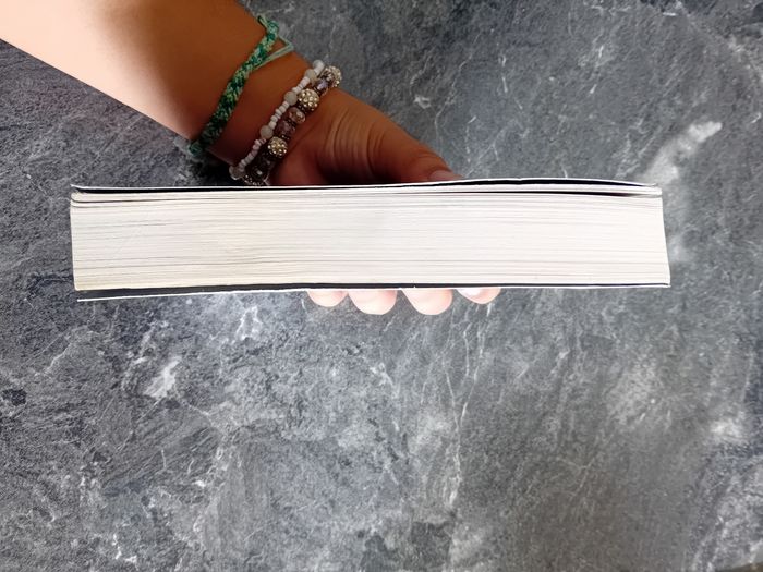 Livre Devil's Night Penelope Douglas - photo numéro 3