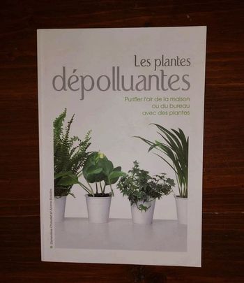 Plantes depolluantes