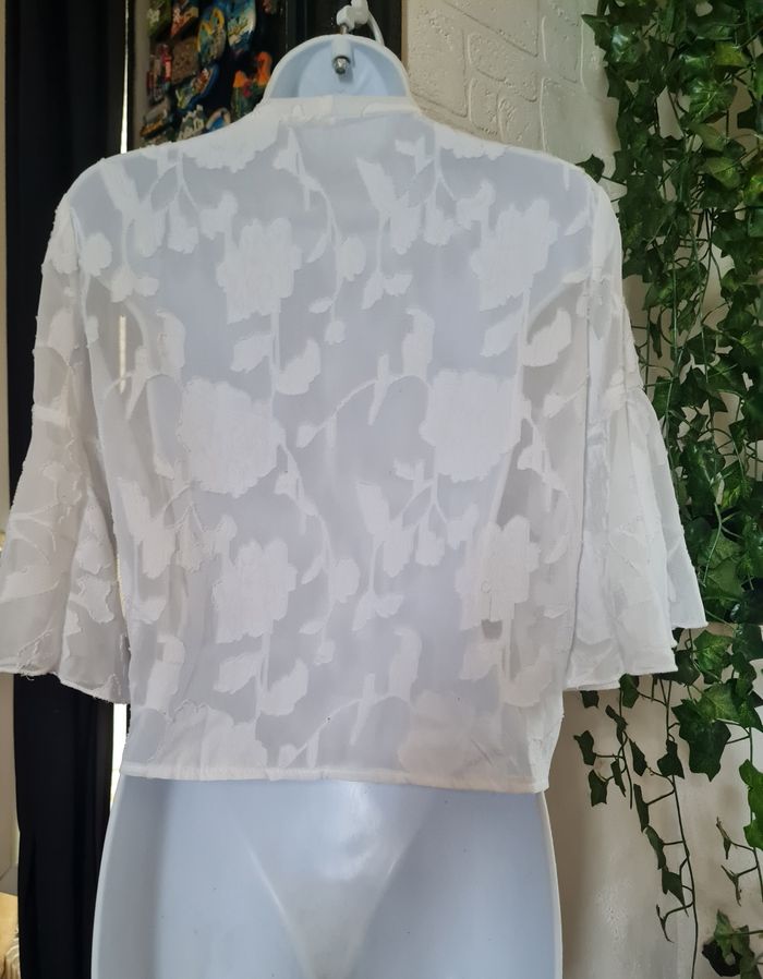 Chemise ouverte - photo numéro 3