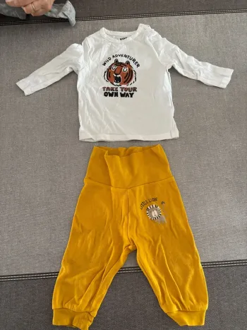 Ensemble lion
